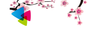 888小说网